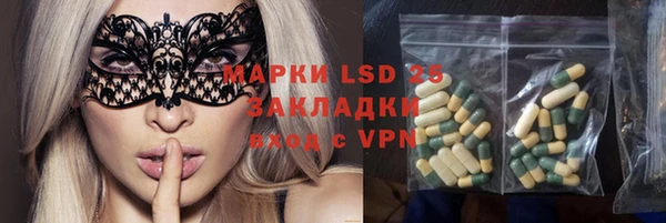 PSILOCYBIN Алексеевка